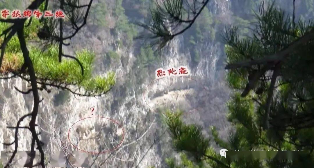 召唤神龙万宁版祖龙