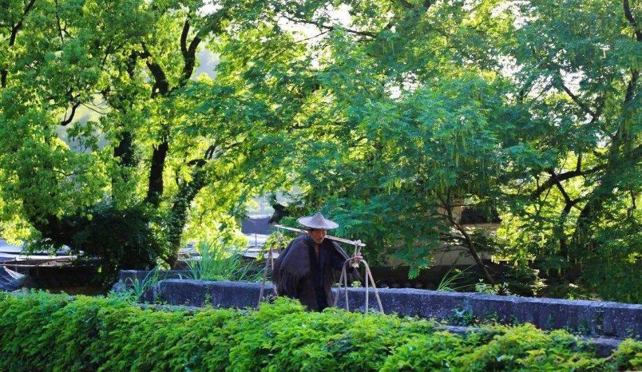 春雨直播app