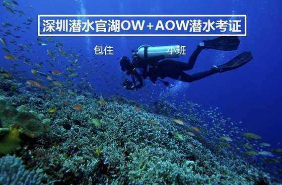 动物帮帮忙保卫家园